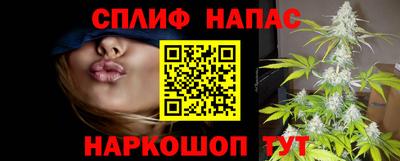 молекула духа Донской