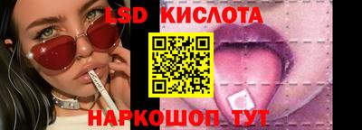 молекула духа Донской